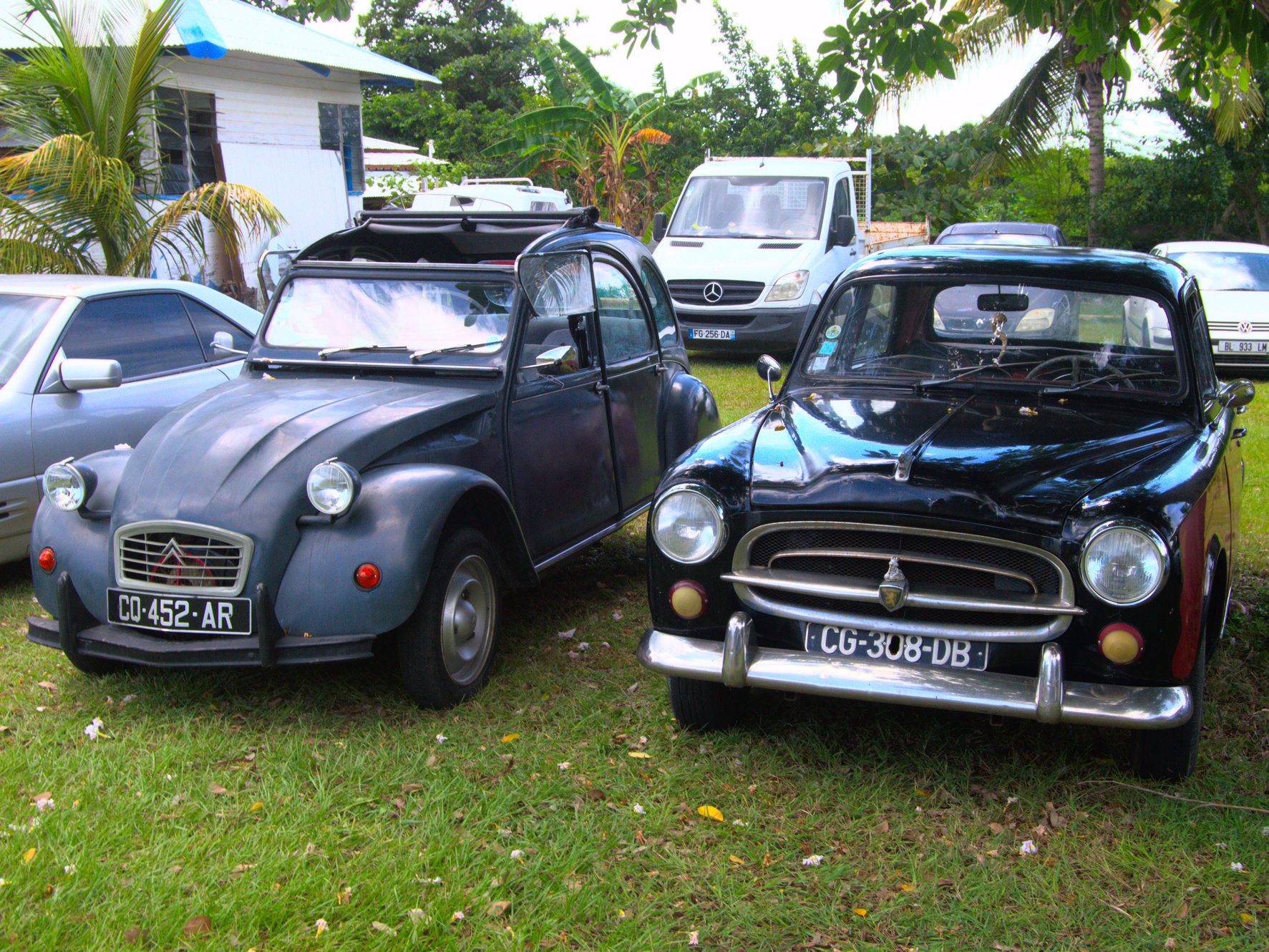 Gästetisch 4 DSC 9206 95 - Gästetisch