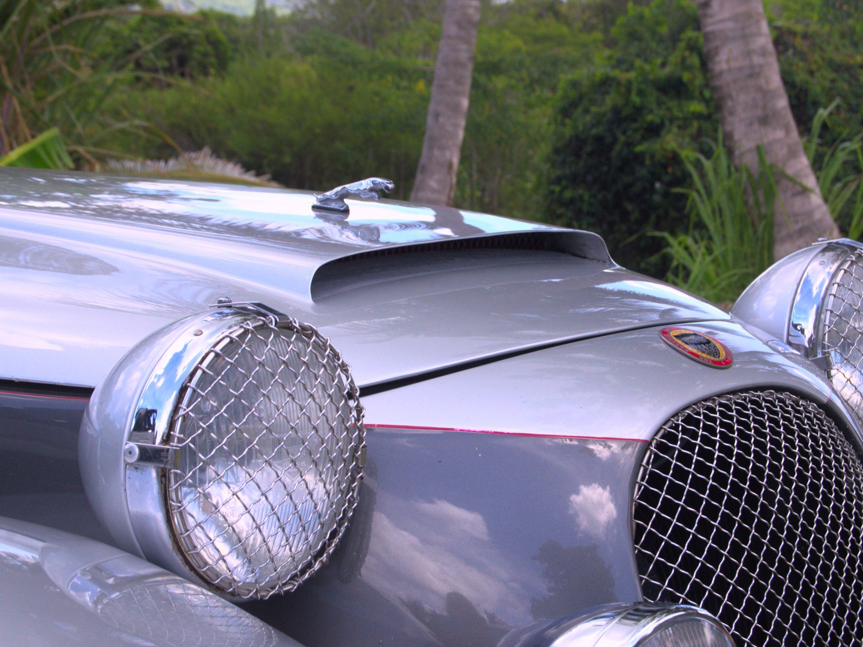 Gästetisch 10 DSC 9277 95 - Gästetisch