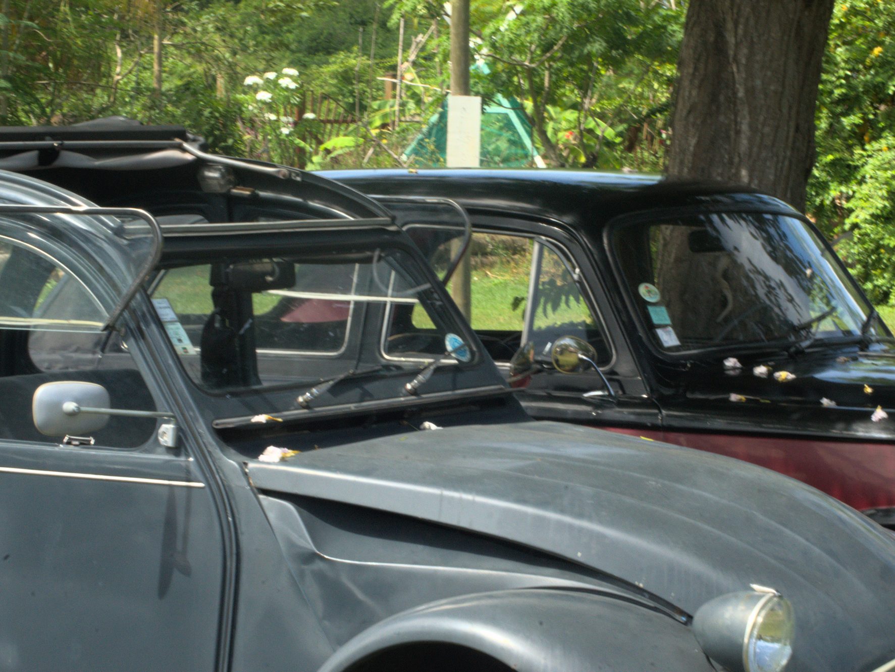 Gästetisch 27 DSC 9395 95 - Gästetisch