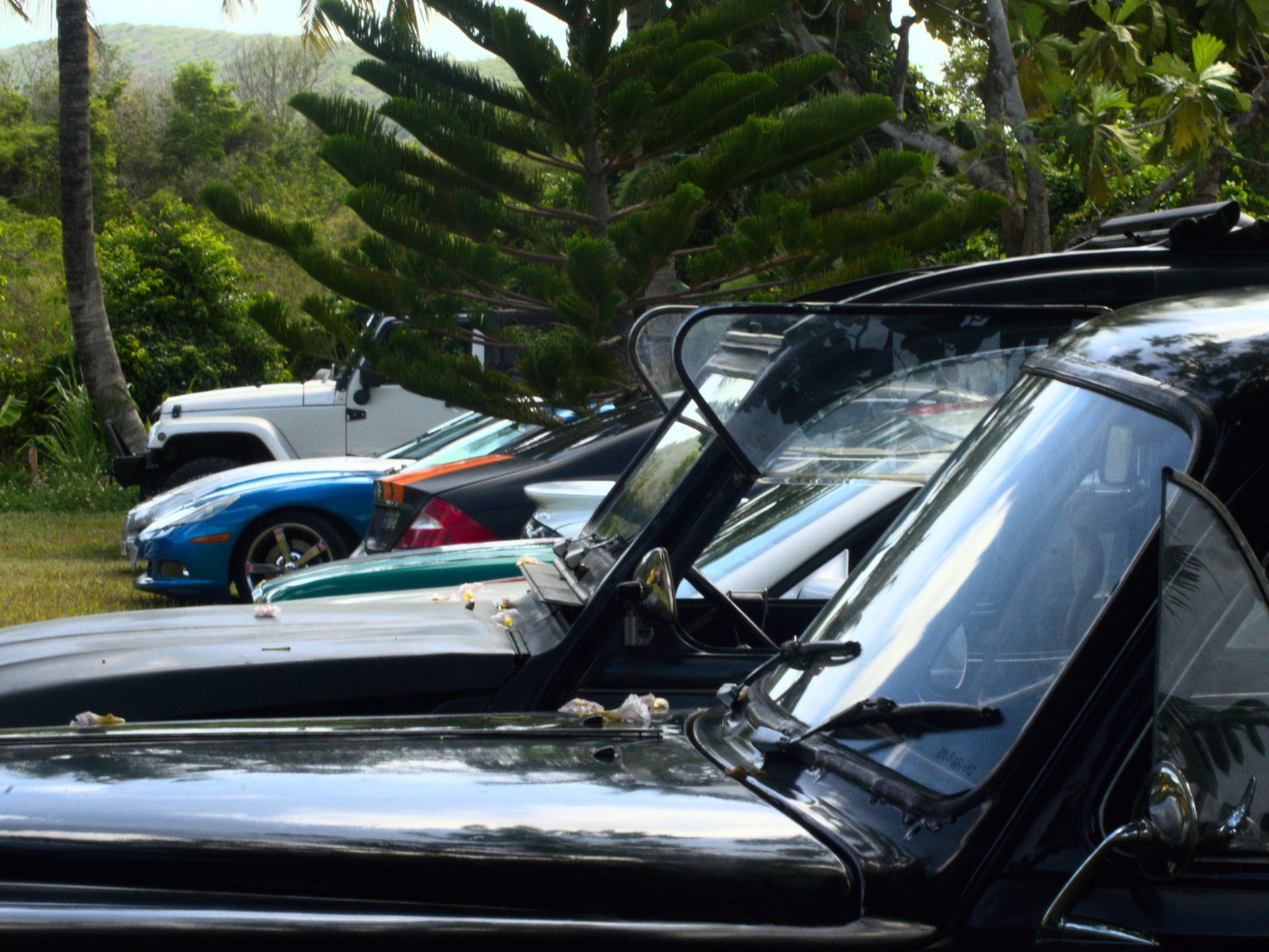 Gästetisch 29 DSC 9424 95 - Gästetisch