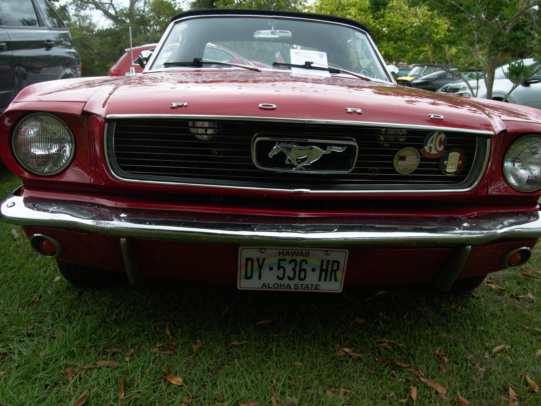 Gästetisch 61 US Car Event Rallye de la Caraibe 2018 DSC 7227 web - Gästetisch