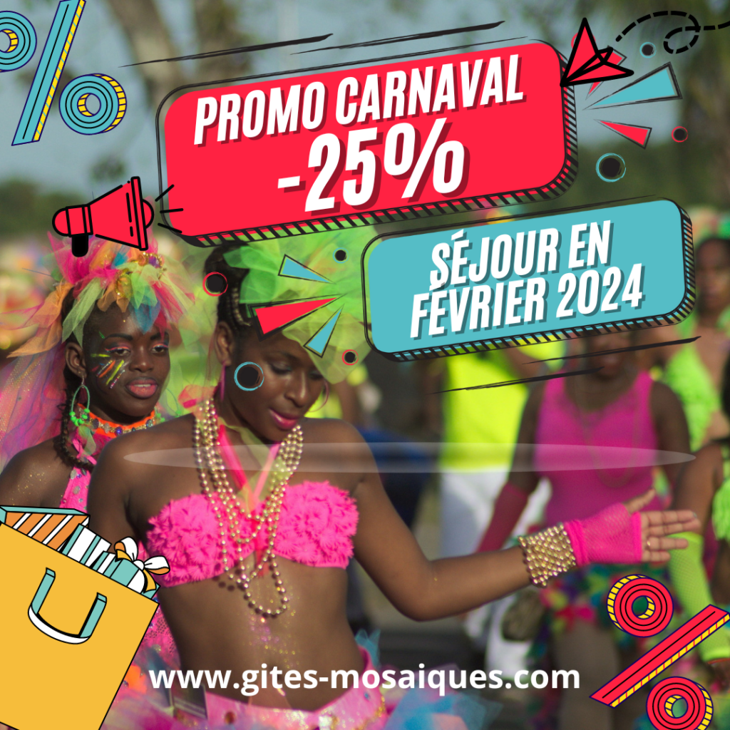 promo carnaval 25pc - Book now